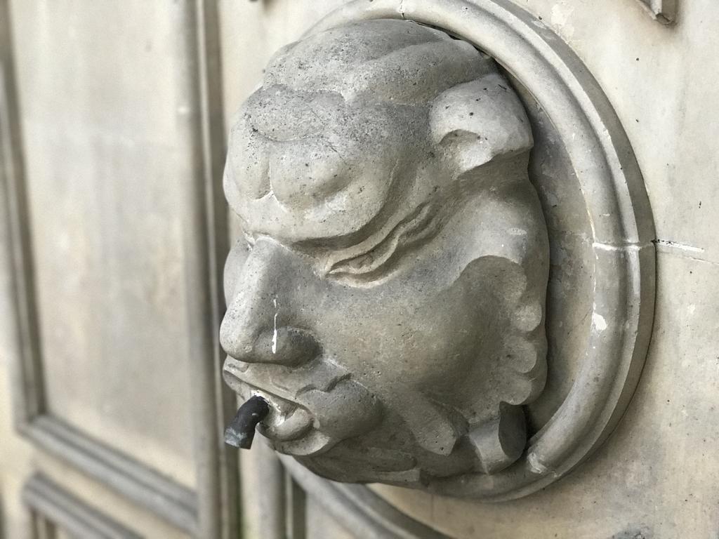 Czarna Kawka * Kraków